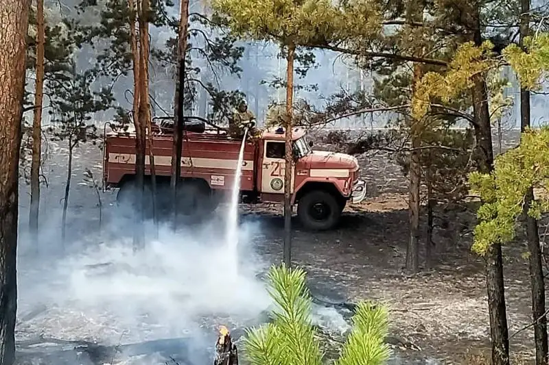 Лесной пожар произошёл в Восточном Казахстане