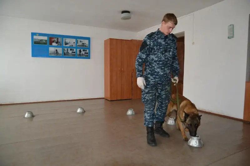 Зачем североказахстанские полицейские собирают запахи