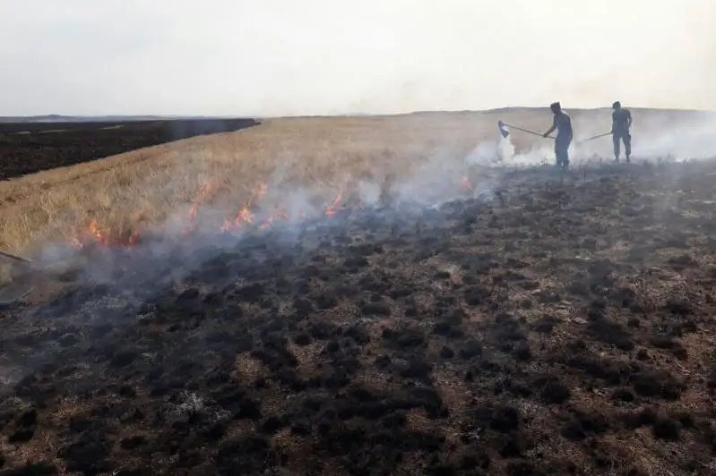 В 4 регионах ведется борьба с природными пожарами