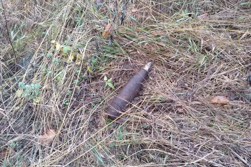 На посевных полях Арыси обнаружены фрагменты боеприпасов