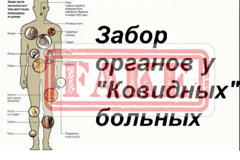 Информацию об изъятии органов у скончавшихся от КВИ людей назвали фейком