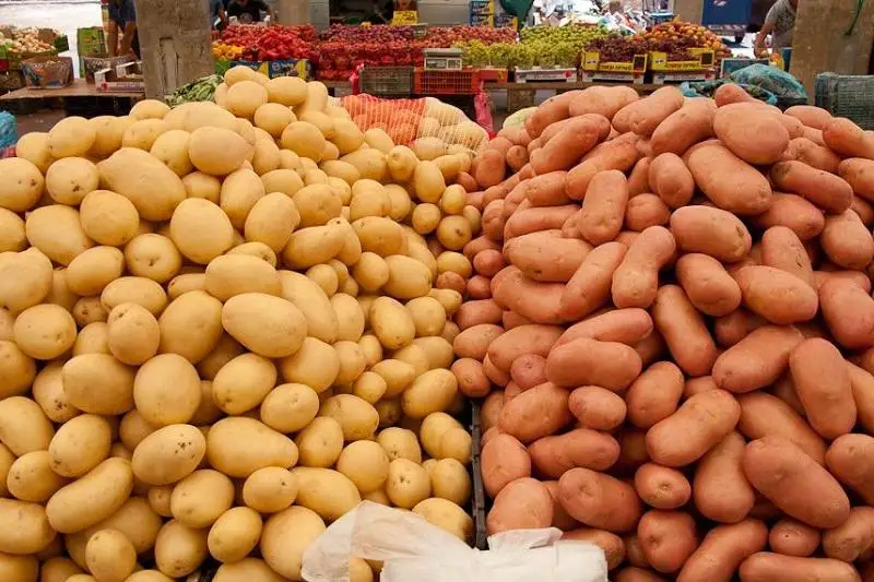 Причину подорожания социально значимых продуктов объяснили в акимате Алматы