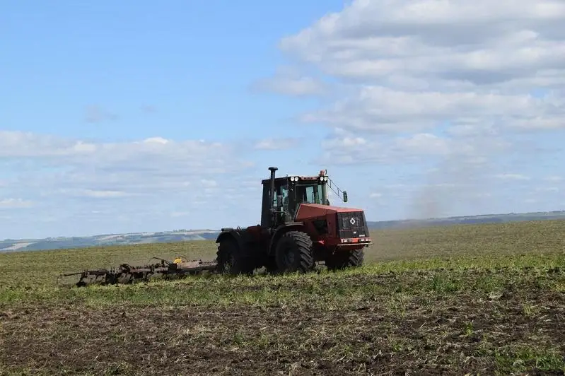 300 агроформирований намерены воспользоваться льготными кредитами - аким СКО