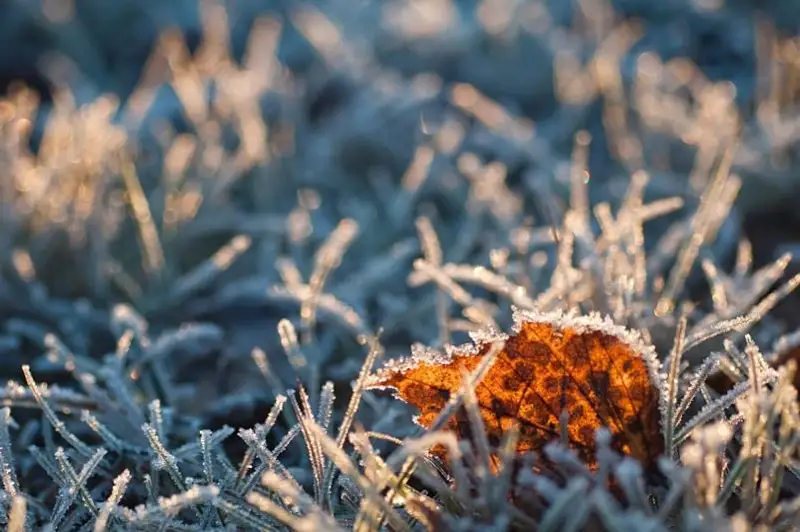 Заморозки сохранятся на востоке и севере Казахстана