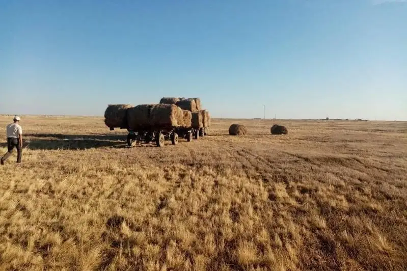 Предприниматель Жанибекского района ЗКО обеспечивает кормами сельчан