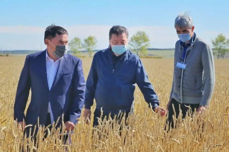 С ходом уборочной кампании в Акмолинской области ознакомился министр сельского хозяйства