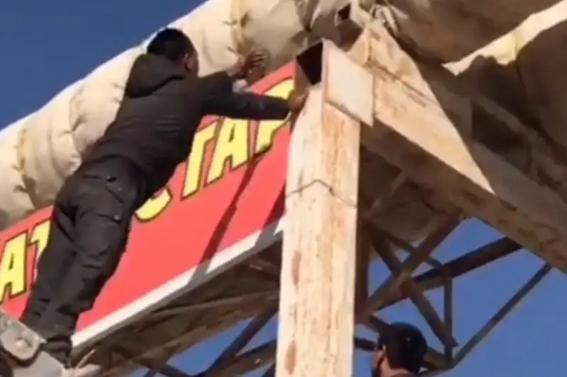 Котенка спасли с применением спецтехники в Актау