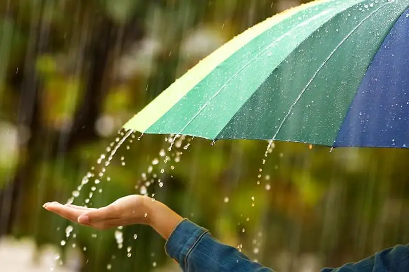 Дожди с грозами, шквал и град ожидаются в Казахстане