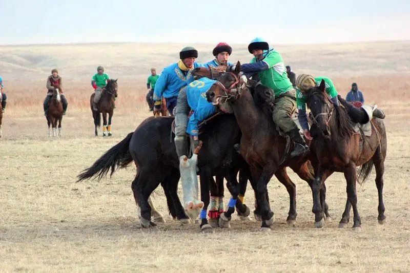 Турнир по кокпару памяти Наби Момынова: жамбылцы стали первыми