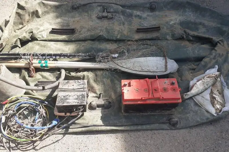 Браконьеры с электрическими сетями задержаны в Алматинской области