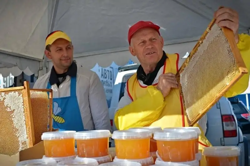 500 тонн сельхозпродукции привезут павлодарцы на ярмарку в Нур-Султан