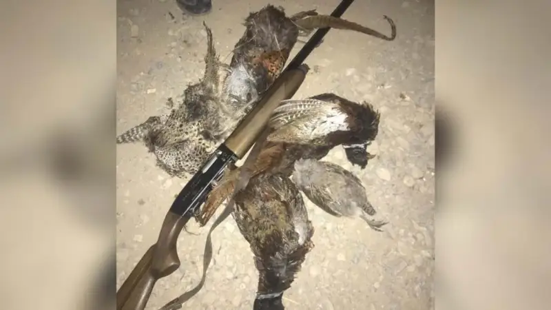 Егерь незаконно охотился в жамбылском заповеднике