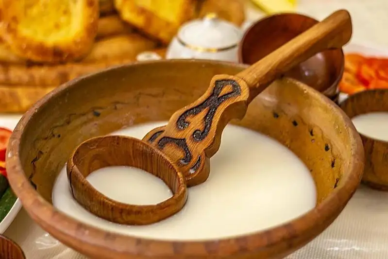 О пользе национальных блюд для борьбы с коронавирусом рассказал профессор Ерболат Даленов