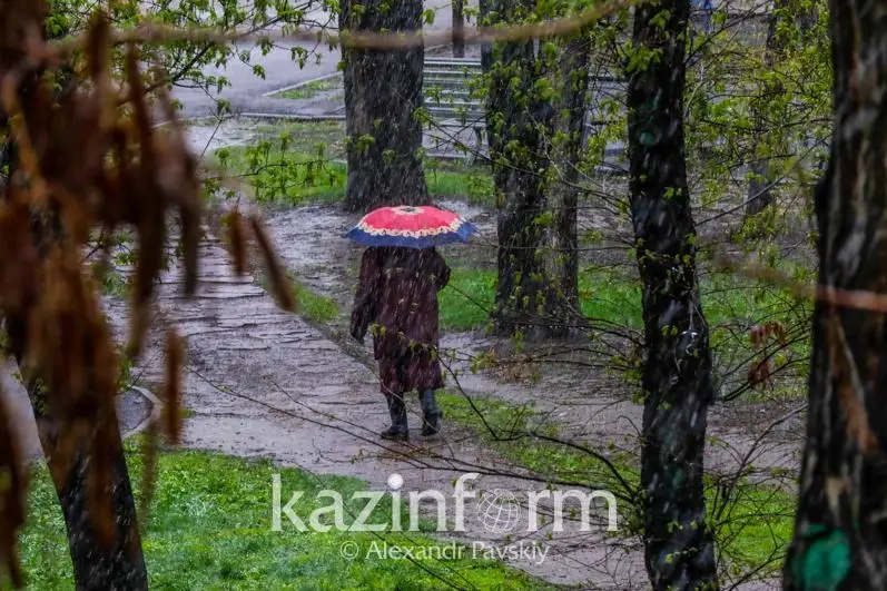 Дожди с грозами и шквалистым ветром ожидаются в Казахстане 13 августа