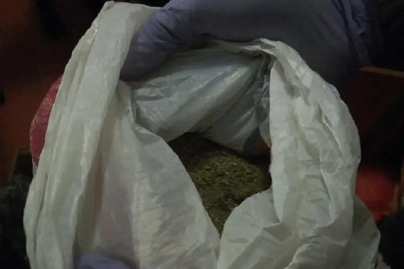 80 кг марихуаны перевозил в машине житель Акмолинской области