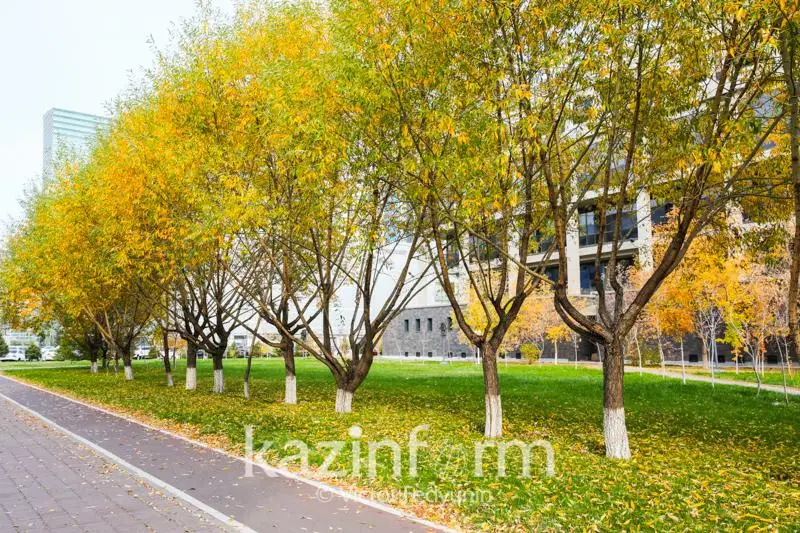 О погоде в ноябре в СКО рассказали синоптики