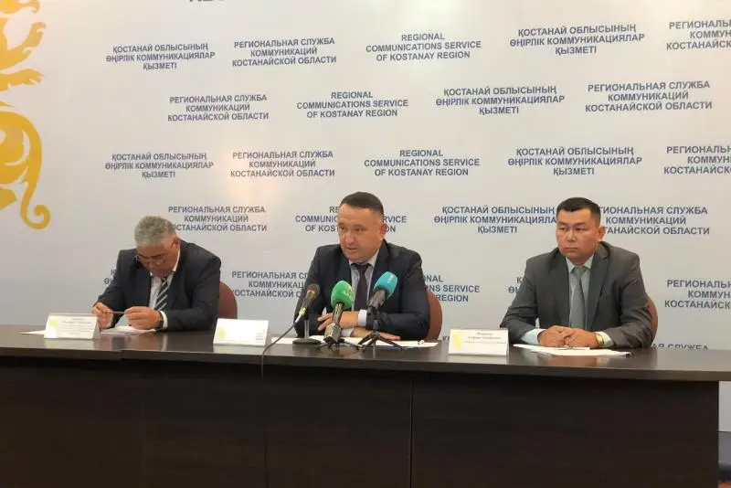 Жара и засуха отразились на посевах в Костанайской области