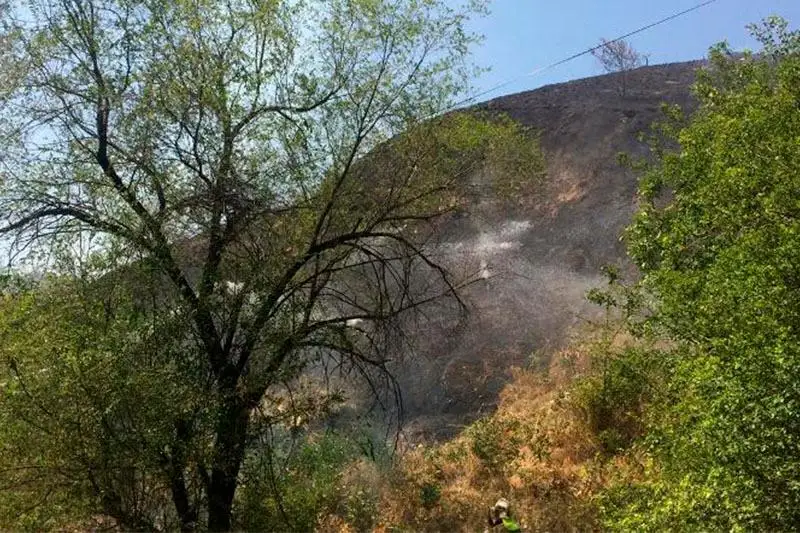 Незначительное загрязнение воздуха выявлено после пожаров на Кок-Тобе