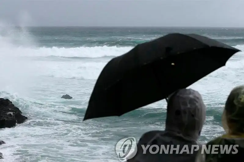 Сотни рейсов отменены в Южной Корее из-за  мощного тайфуна