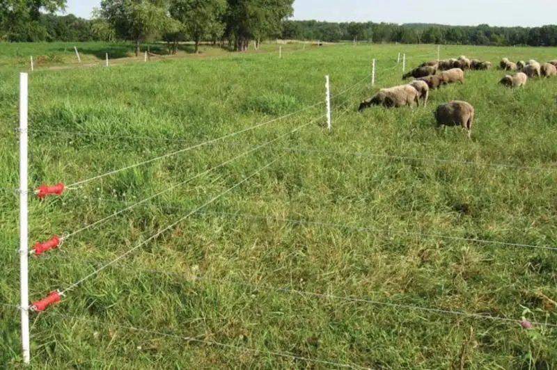 Цифровизация в сфере АПК набирает обороты в Чингирлауском районе ЗКО