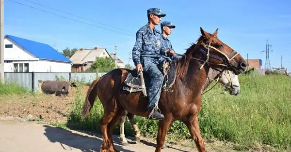 Конные полицейские начали патрулирование дач в Кокшетау