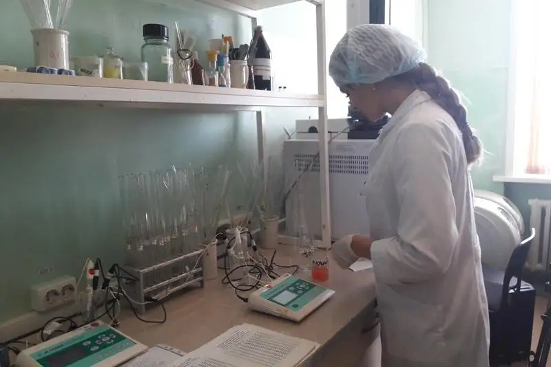 Бесплатно проверить на нитраты фрукты и овощи на рынках могут петропавловцы