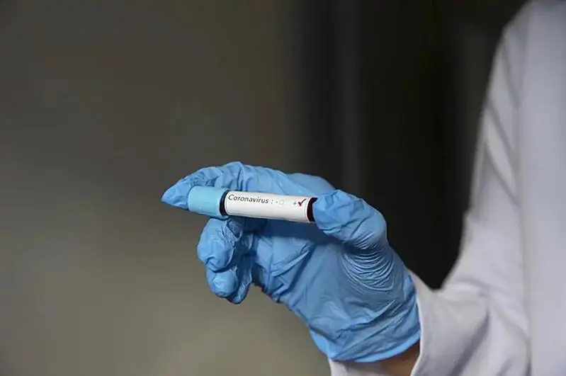 ВОЗ предполагает увеличение случаев коронавируса в Украине