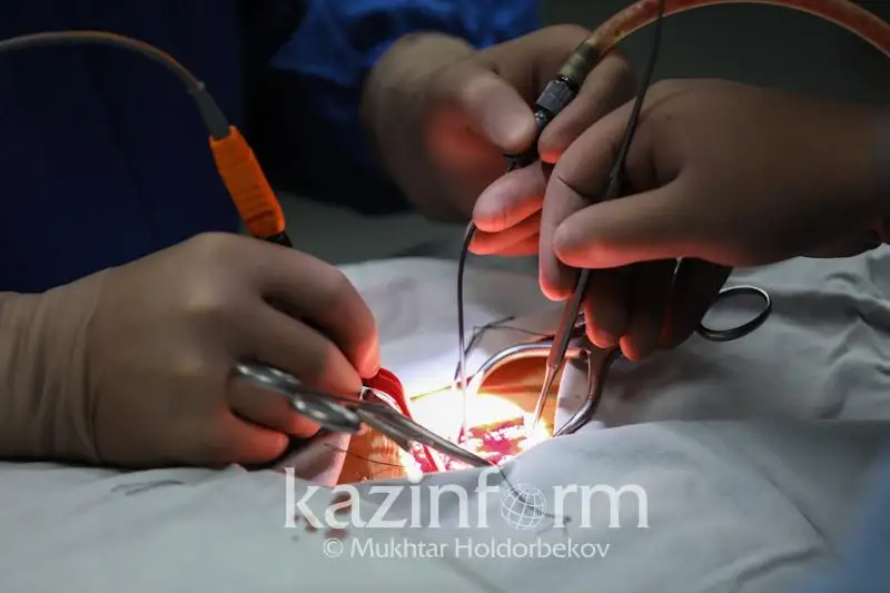 Можно ли пересаживать органы умерших от коронавируса