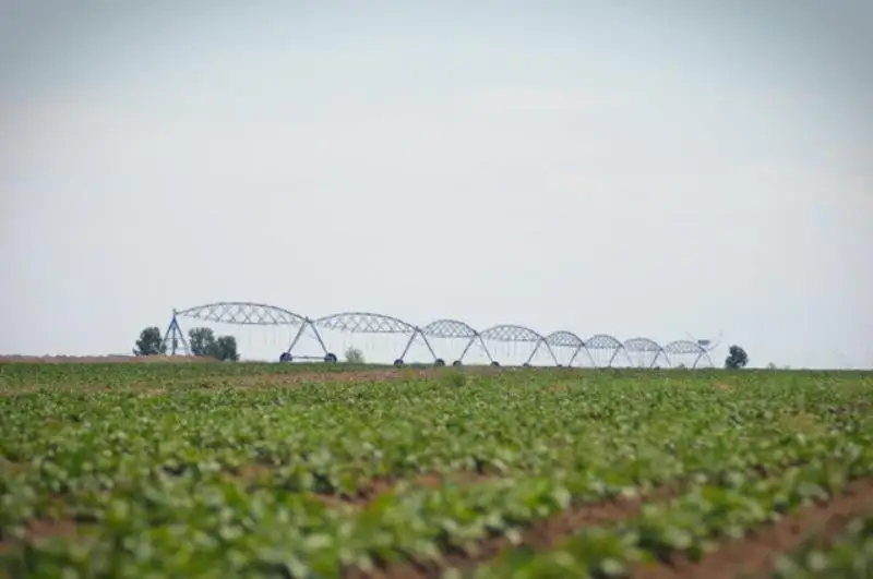 До 150 тысяч га увеличат орошаемые площади в Павлодарской области