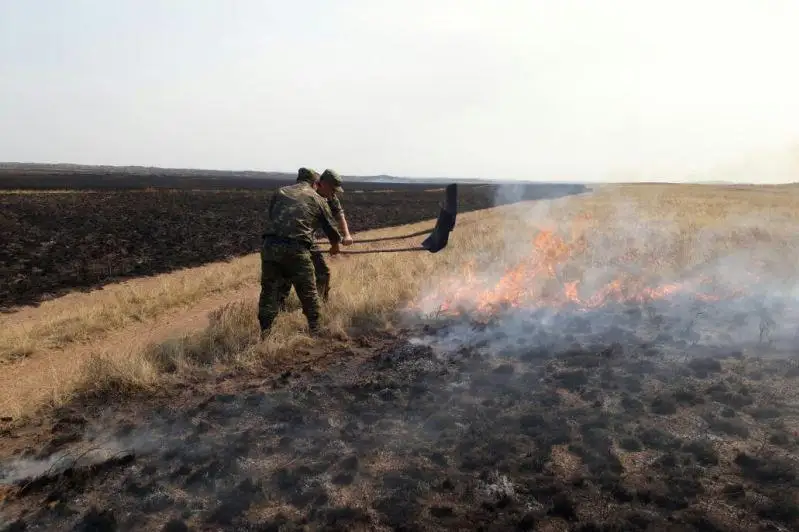 Степные пожары ликвидируют в Акмолинской области