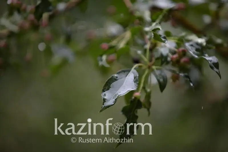 Дожди сохранятся в Казахстане в ближайшие дни