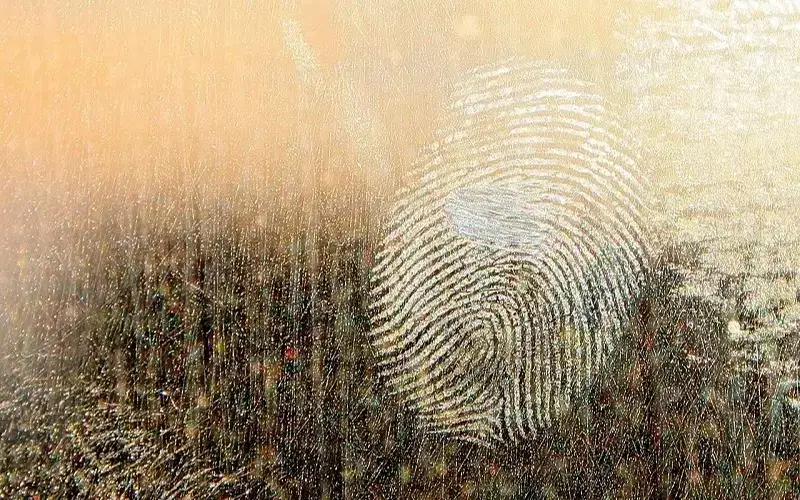 Фото: pixabay.com