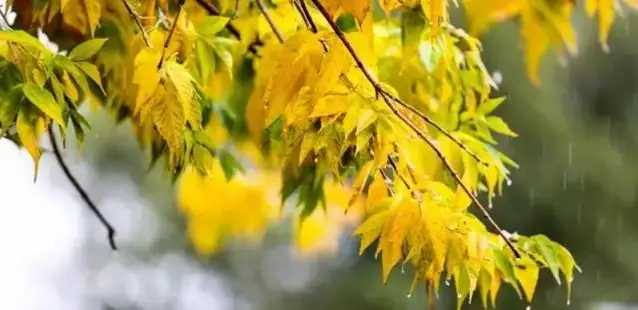 Қазгидромет