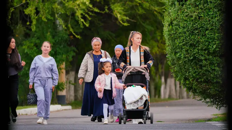 статистика