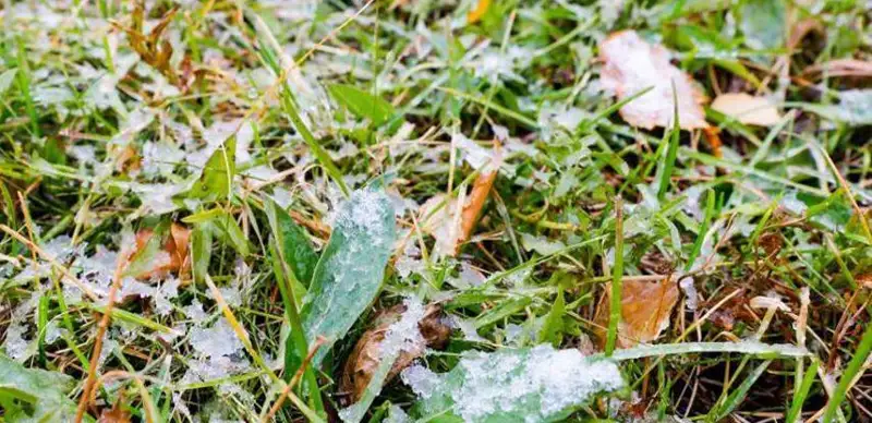 погода осень