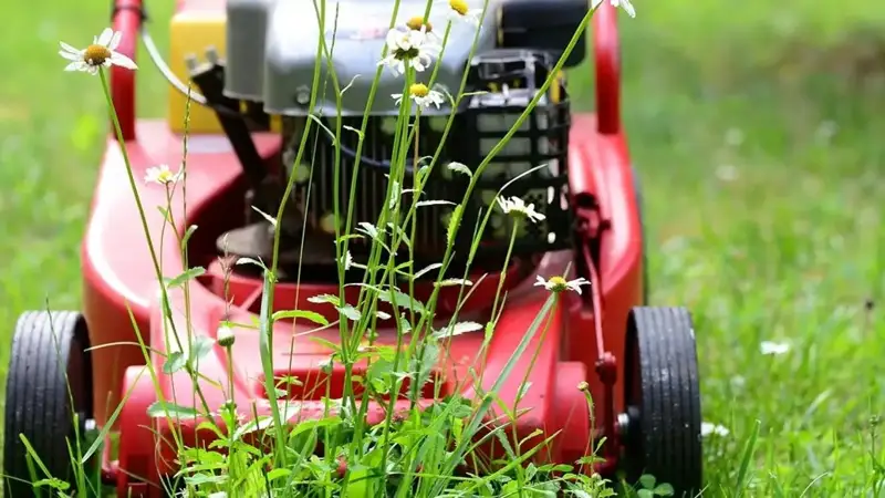 Аэропортда майса ўраётган аёл самолёт қаноти тегиб кетгани оқибатида ҳалок бўлди 
