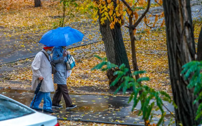 Куз фаслида қандай таомланиш фойдали
