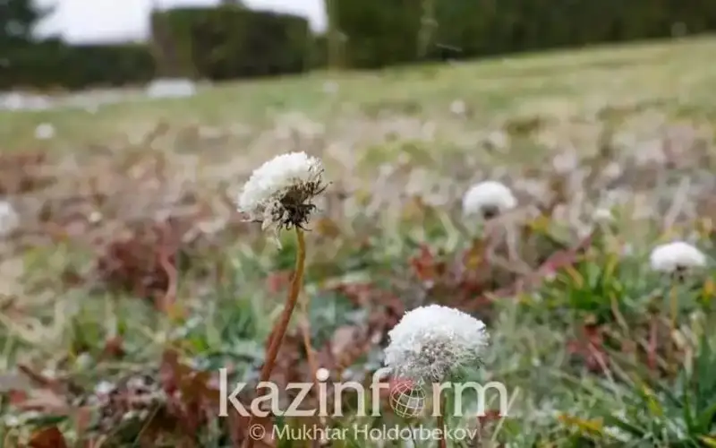 Қазгидромет