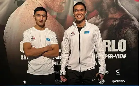 Профессионал бокс