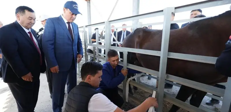 пресс-служба акима Жамбылской области