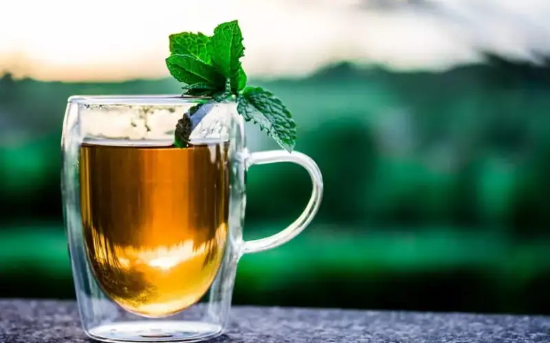 Фото: pixabay.com