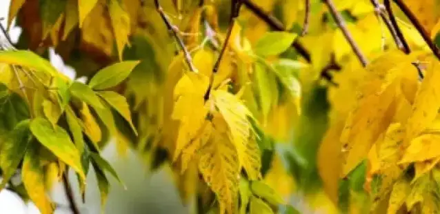 Қозоғистонда дам олиш кунлари об-ҳаво қандай бўлади