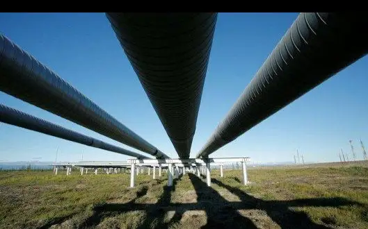 oil pipe