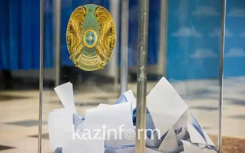 выборы