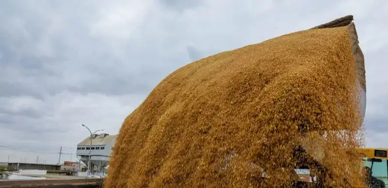 Мухтар Холдорбеков/ МИА «Казинформ»