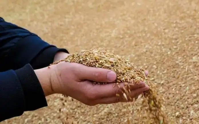 Производство сельхозпродукции снизилось в ЕАЭС