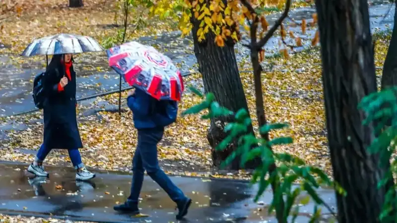 Туман, шамол, ёмғир – Қозоғистонда 9 октябрь куни об-ҳаво қандай бўлади