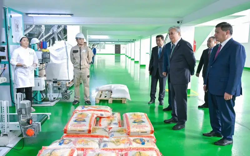 Қасым-Жомарт Тоқаев «Алтын орда» күріш зауытына барды