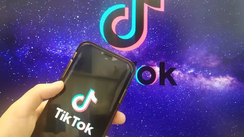 пользователь 