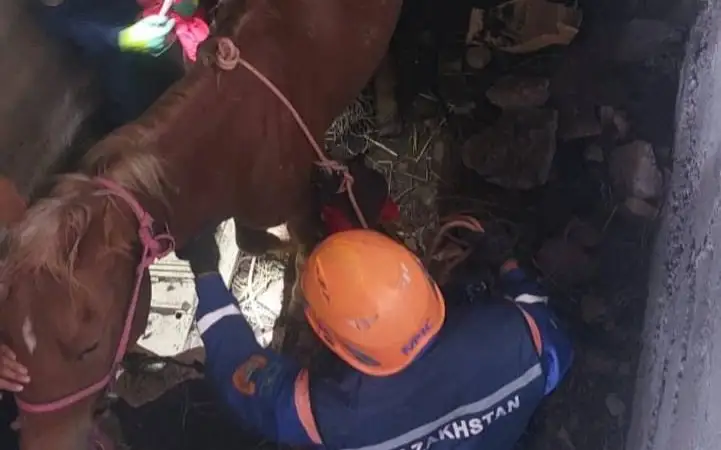 ДЧС Алматинской области